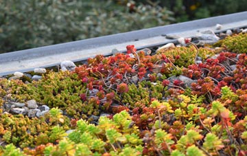 the cost of Clogh Mills green roof installation
