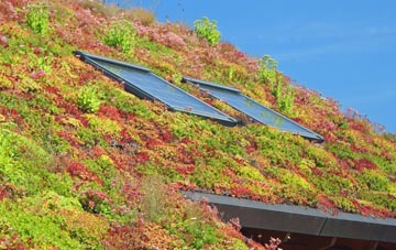 Clogh Mills living roof systems