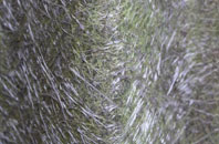 Clogh Mills fibreglass roof work